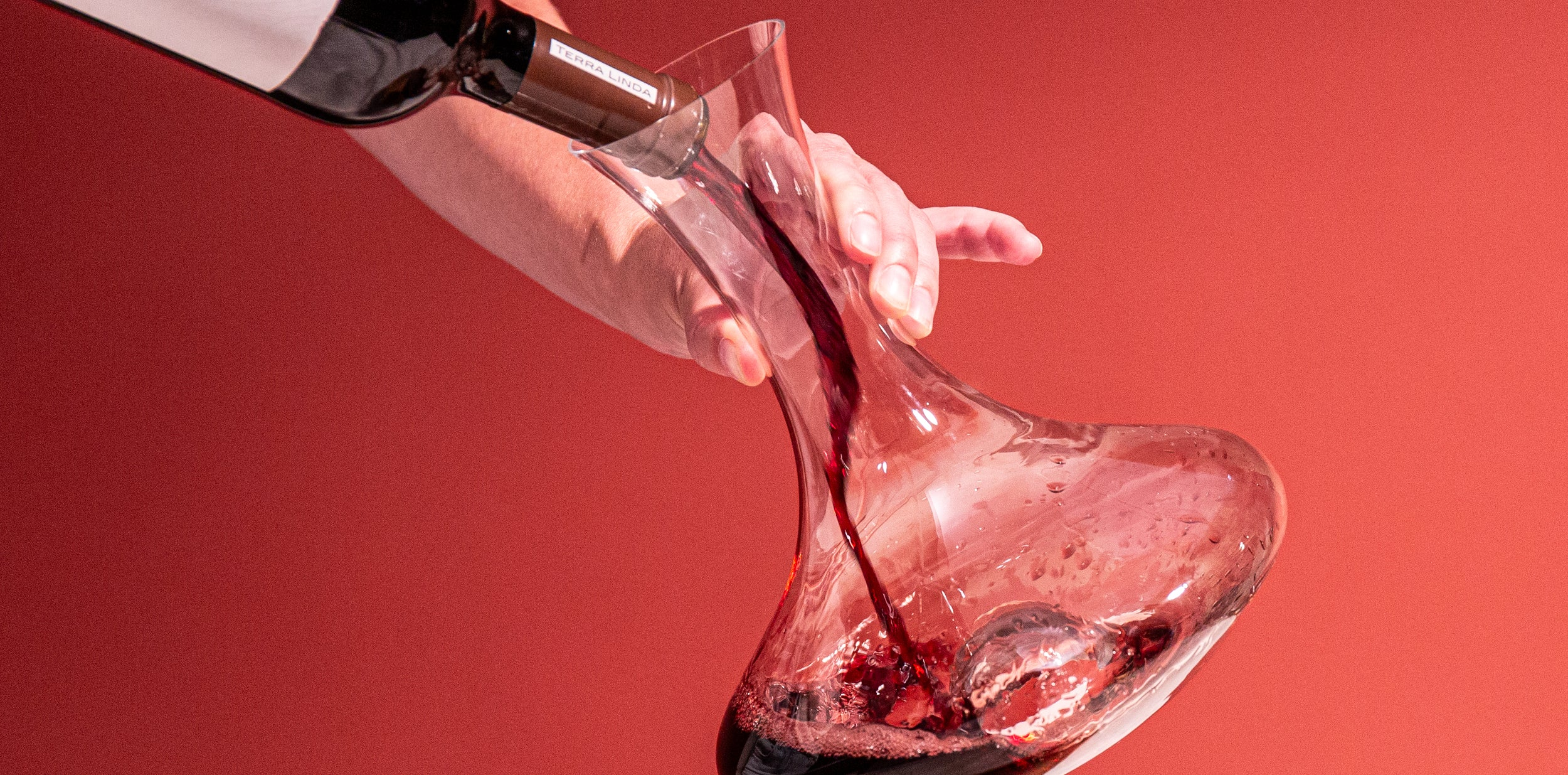 Decanting & Pouring | Elevate Your Wine Experience | Vacu Vin USA Inc.