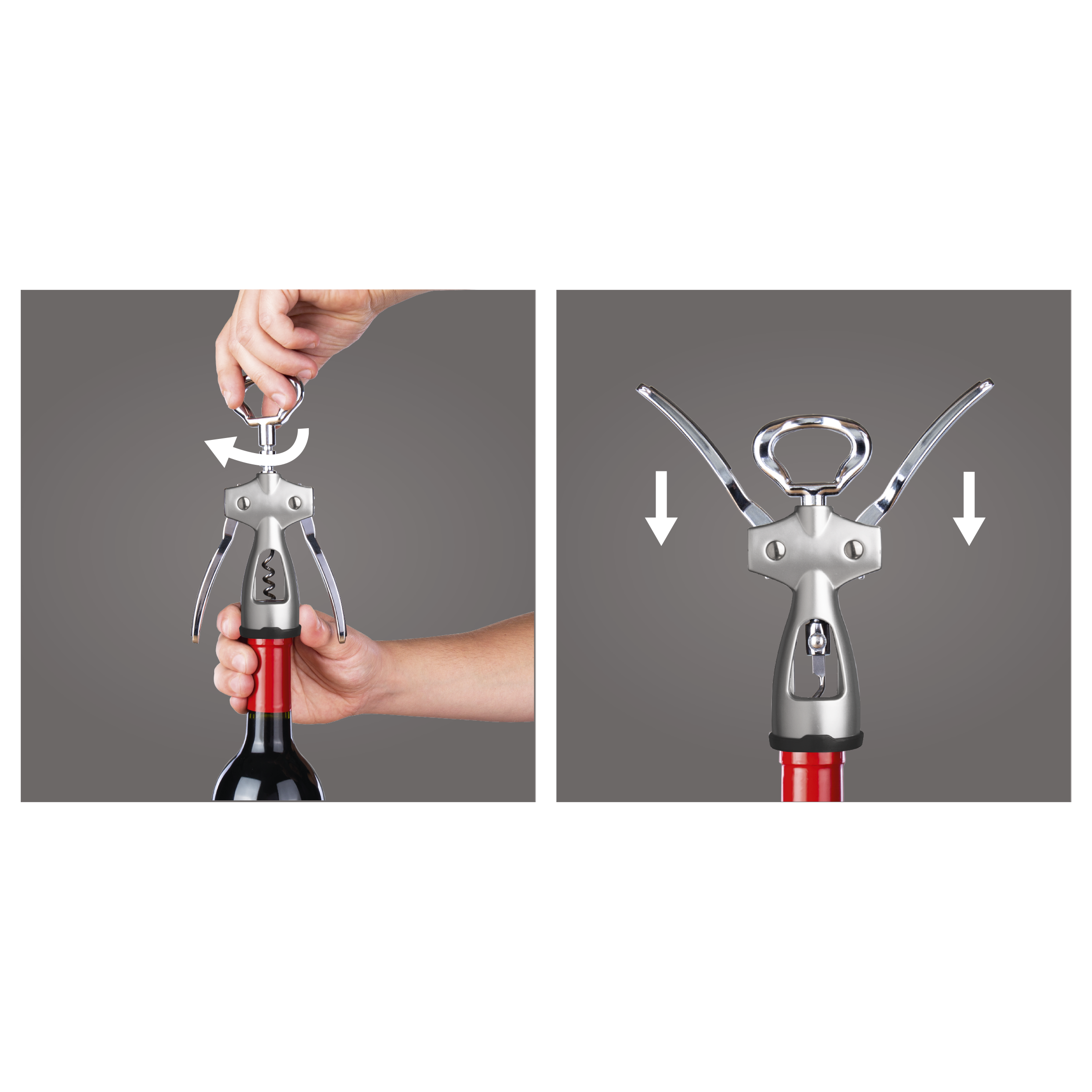 Winged Corkscrew - Thumbnail 3