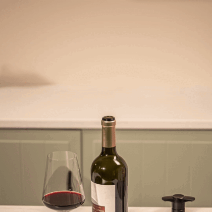 Vacu Vin wine saver black 1 stopper